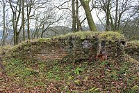 Mauerreste des Palaskellers im Herbst 2017 (Foto A. Bartrow).