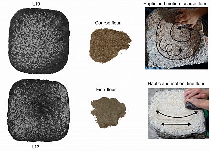 Experimental production of fine and coarse flour and specific use-wear (photo by Laura Dietrich,  Laura Dietrich)